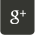 Google+